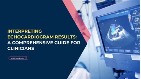 Interpreting Echocardiogram Results: A Comprehensive Guide .